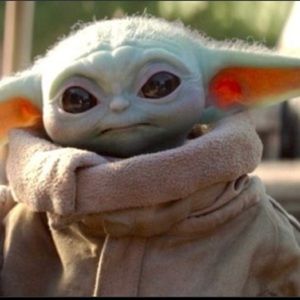 Meet your Posher, Angelina